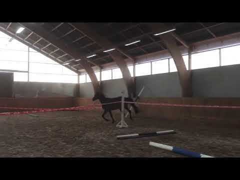 CAVALAIRE Casallco-Quintero