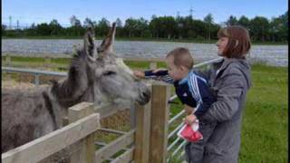 preview picture of video 'At the farm, Joshua's day out.'