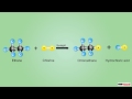 Addition And Substitution Reactions