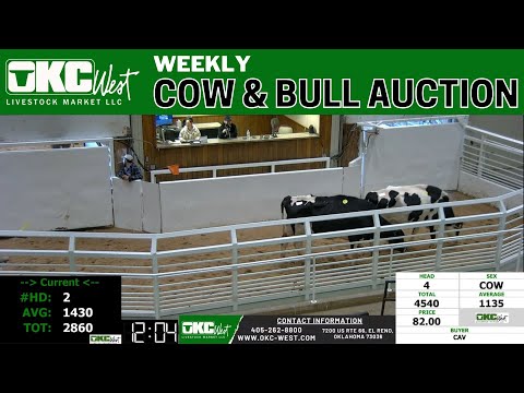 1/30/2023 - OKC West Weekly Cow & Bull Auction