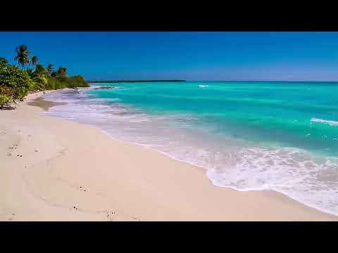 Waves on Saona Island - Relaxing Beach Sounds of the Caribbean Sea For Study, Meditation and Sleep