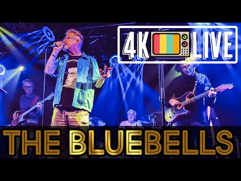 The Bluebells - I'm falling, live 4k Edinburgh 2024