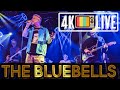 The Bluebells I M Falling Live 4k Edinburgh 2024