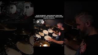 FUNKY DEATH METAL INTRO? CORONATION OF OUR DOMAIN - MALEVOLENT CREATION- ALEX MARQUEZ