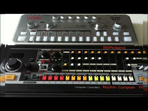 VeganBro01/046 Tr 08 + TT 303 Bassbot