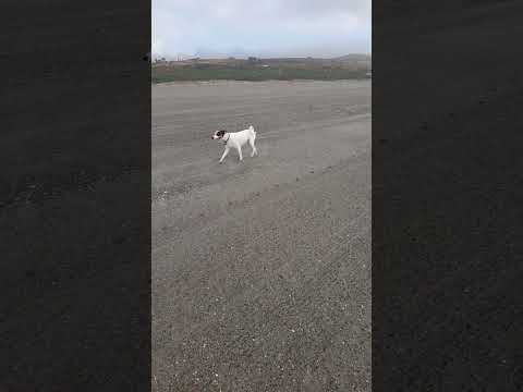 Robin. 15/08/2024 (2)