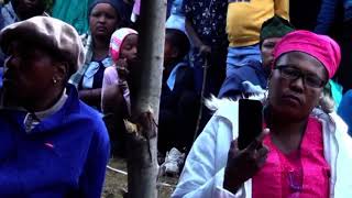 Download lagu Tlou ha e lla 🐘- emotional song mp3