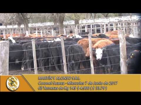 07-06-17 - Venta de Hembras  - Martin y Alonso S.R.L. - C.Suarez