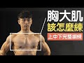 全方位胸肌訓練|打造厚實胸膛|上中下完整訓練重點