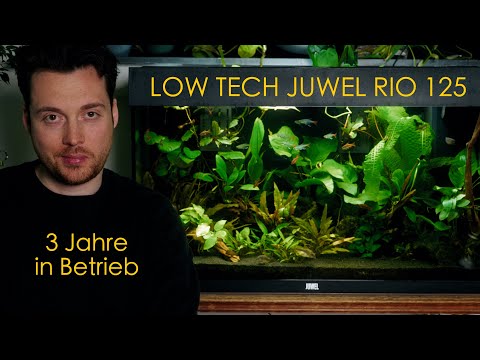 Mein Juwel Rio 125 Aquarium nach 3 Jahren Laufzeit - Erfahrungen und Tipps
