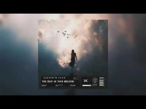 Aspyer vs Seeb - The rest of your life x Breathe(DC Mashup)