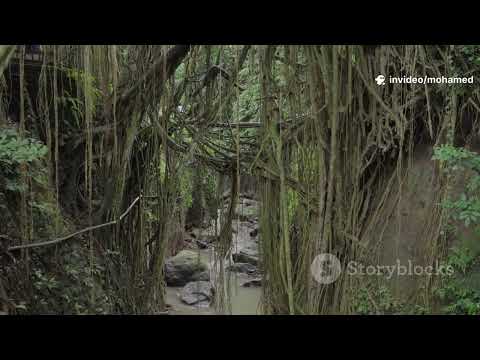 Bali Like Never Before 🌴✨ | Top 6 Magical Places You Must Visit in 2025