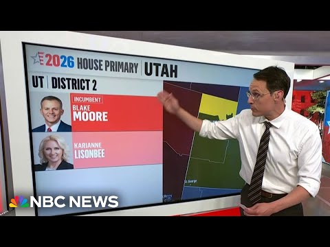 Steve Kornacki explains what to watch in primaries across New York, Utah