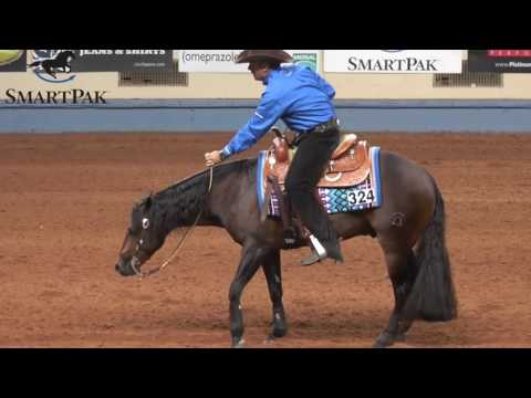 Andrea Fappani & Spooky Whiz win the 2016 NRHA Open Futurity