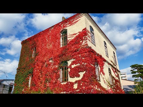 [4K] 旧石井県令邸（旧石井県令私邸） | 岩手･盛岡観光動画
