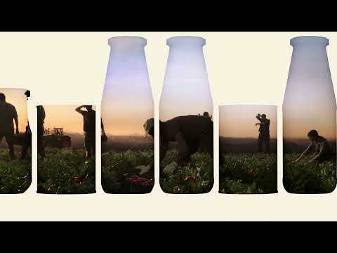 Spot TV Coop - Pomodori Coop. Buoni dentro - I'm not a robot Agency