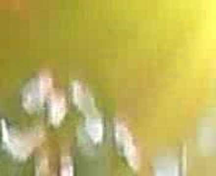 Hammerfall 27.01.07 in Köln