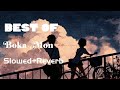 Boka Mon Slowed Reverb Nur Nobi বোকা মন এই অন্তর পুইরা যায