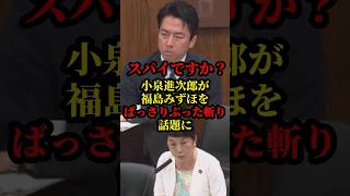小泉進次郎が福島みずほを返り討ちにし話題に