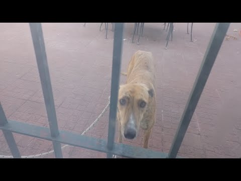 arriba STUD DON POCHO 🐇🍀 mas que una pasion 🤝