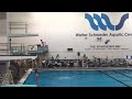 3 meter diving highlights 