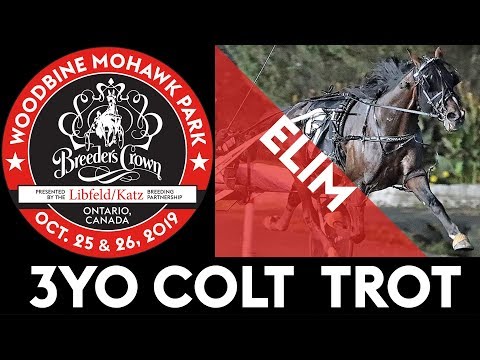 2019 Breeders Crown Elim - Don't Let'Em - 3YO Colt Trot