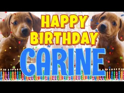 Happy Birthday Carine! ( Funny Talking Dogs ) What Is Free On My Birthday