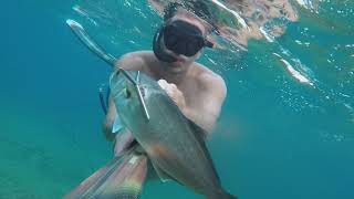 Podvodni ribolov Spearfishing Croatia 2018 Podvodni ribolov Spearfishing Croatia 2018