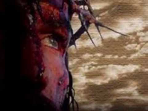 Lágrimas de Amor video