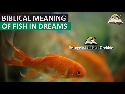 Biblical Meaning of FISH in Dream - Mark 1:17 Prophetic Meaning of Fish