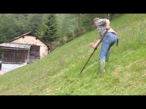 Fieno del Borgo del Benessere