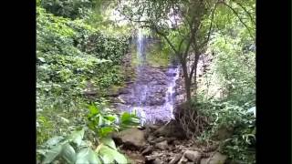 preview picture of video 'cascada la llovizna zona alta araure clan yekuana'