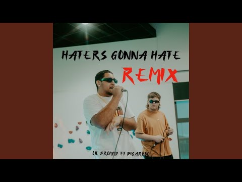 Haters gonna hate remix (feat. bigardoo)