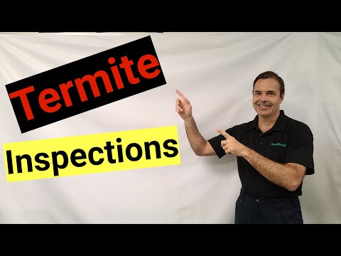 How to identify termites during inspection (revised)