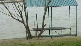 Платная рыбалка в щербиновском районе