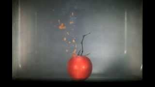 Máquina Líquida - &quot;Poema para un romance nuclear&quot;