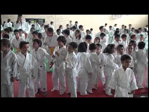 Fiesta del Judo