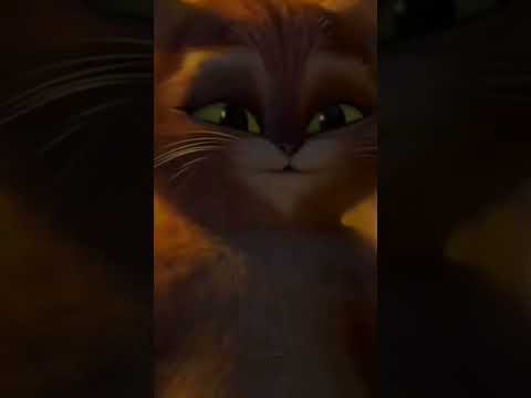 || cat reaction 🖤 THAR⚡ MAHINDRA 4×4 || ™ shorts ✨