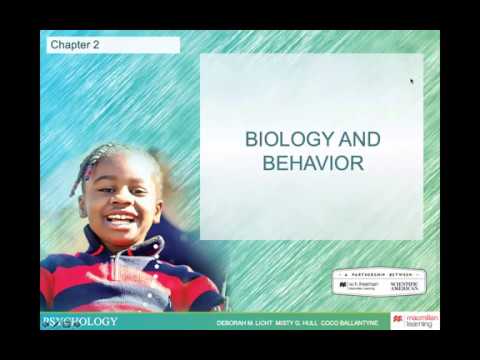 PSY123, Chapter 2 - Biology and Behavior
