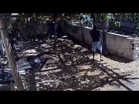 سرقة كبش من ضيعة بمدينة البقالطة.