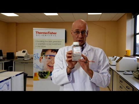 Strawberry DNA Extraction - STEM Education Activity