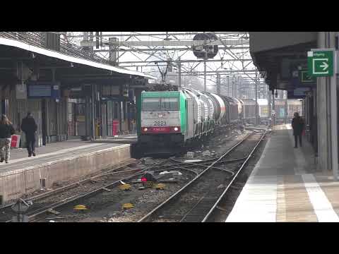 (HD) 2832 Hauls A Rare Nuclear Waste Train Through Dordrecht, Netherlands 23/3/15
