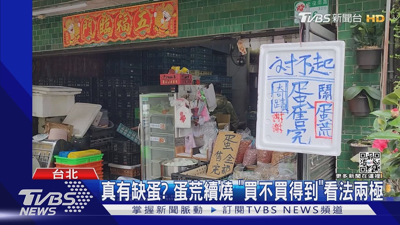 真有缺蛋？　蛋荒續燒「買不買得到」看法兩極