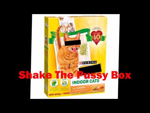 Shake The Pussy Box (Myles Deacon/Sloth Sounds)