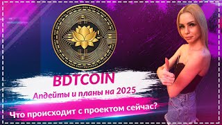 BDTCOIN жив! 🚀 Что происходит с проектом прямо сейчас