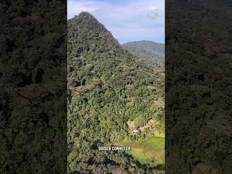 Barra do Una, Peruíbe: Um dos Lugares Mais Preservados de São Paulo