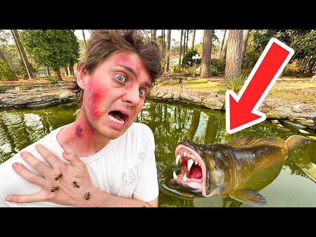 This almost made me die…