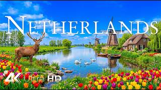 NETHERLANDS 4K 🇳🇱 Discover the Beauty of Holland | Windmills, Tulip Fields & Sce