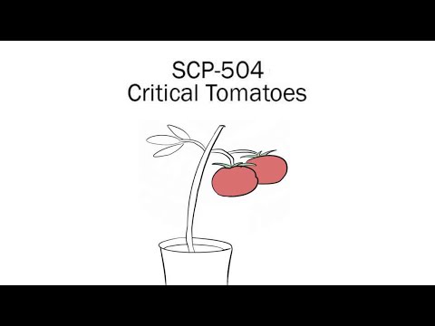 Oversimplified SCP Chapter 5 - SCP-504: Critical Tomatoes