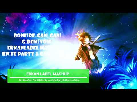 Bonfire-Gani Gani-Gidemiyom-ErkanLabel Mashup-up-Knife Party & Gamze Ökten